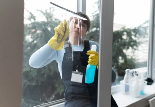 Nettoyage de vitres intérieures et extérieures à Randan